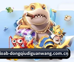 懂球帝的故事 | dqd